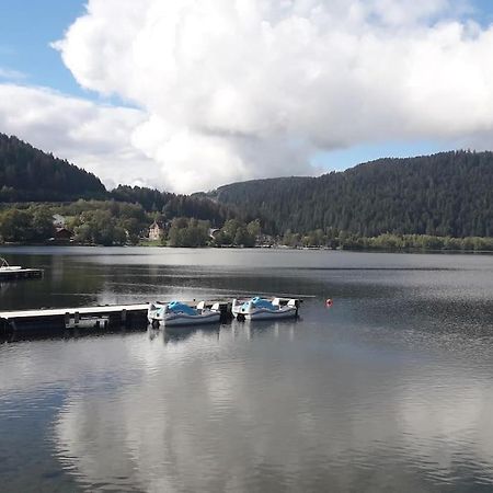 Chalet 3 Etoiles A Gerardmer. エクステリア 写真