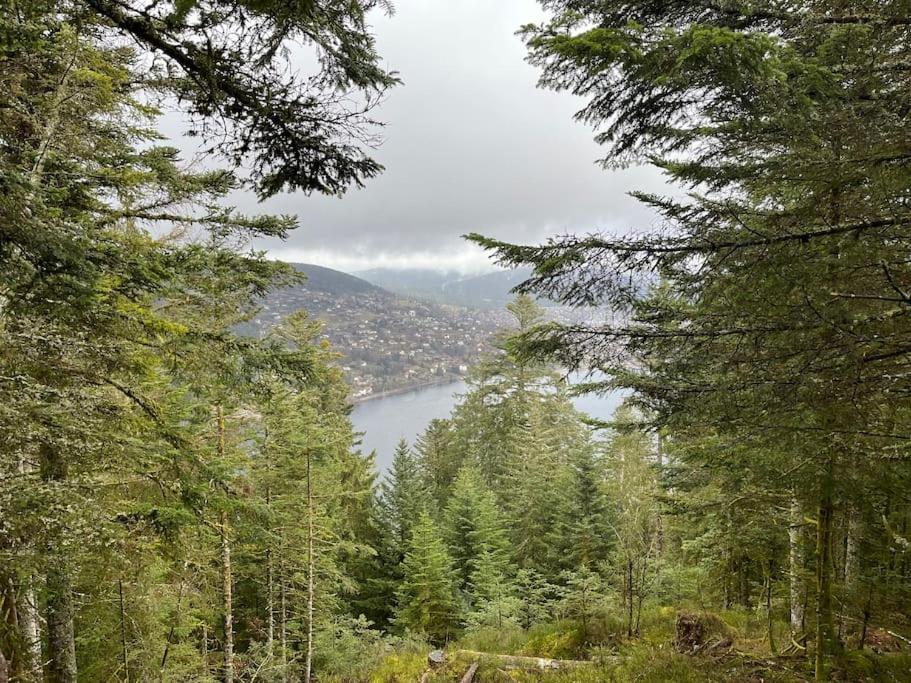 Chalet 3 Etoiles A Gerardmer. エクステリア 写真