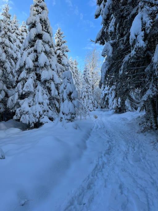 Chalet 3 Etoiles A Gerardmer. エクステリア 写真
