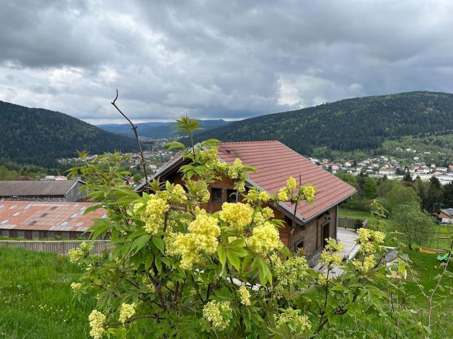 Chalet 3 Etoiles A Gerardmer. エクステリア 写真