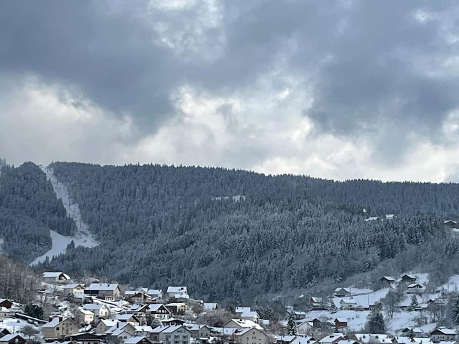 Chalet 3 Etoiles A Gerardmer. エクステリア 写真