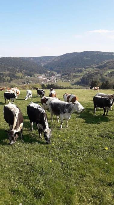 Chalet 3 Etoiles A Gerardmer. エクステリア 写真