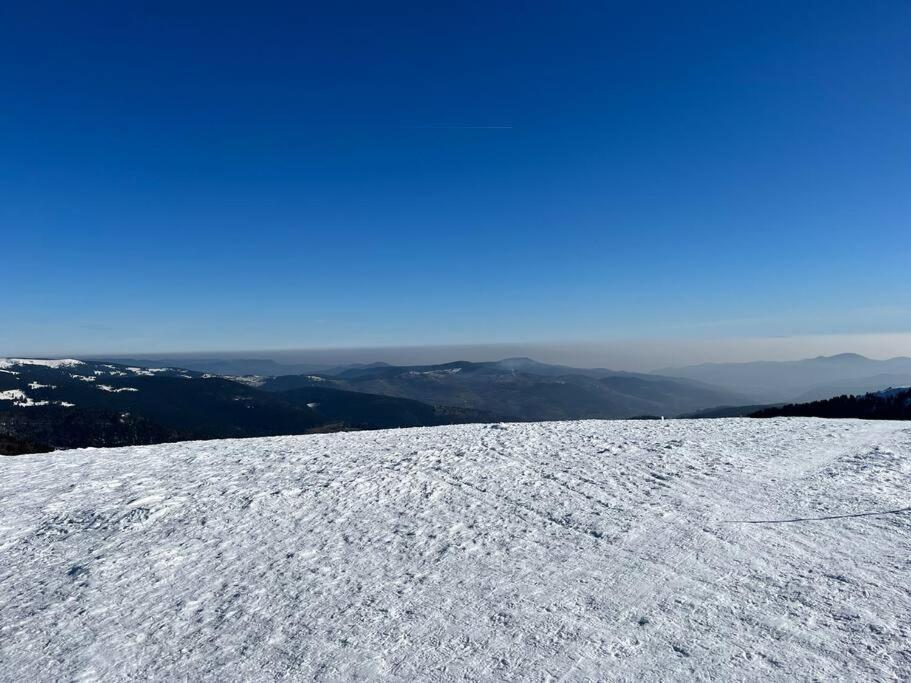 Chalet 3 Etoiles A Gerardmer. エクステリア 写真