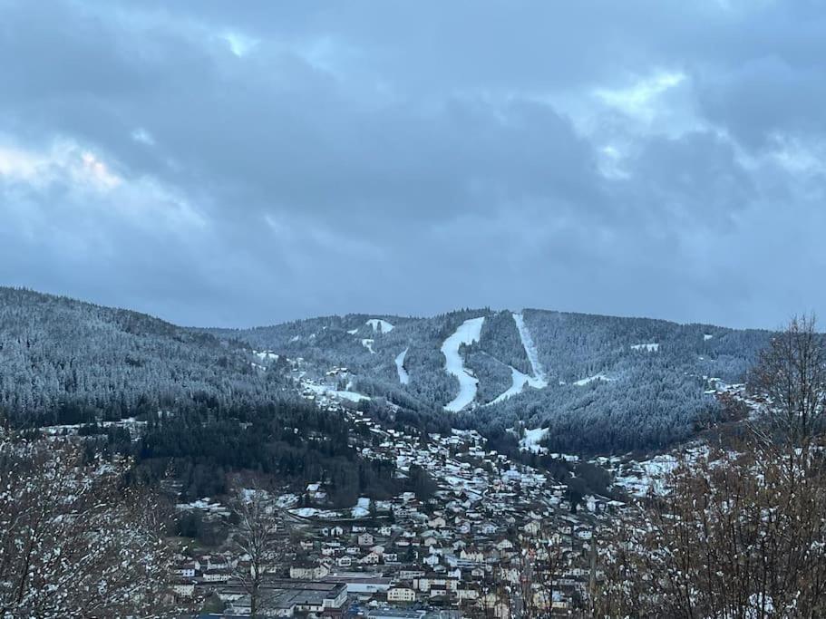 Chalet 3 Etoiles A Gerardmer. エクステリア 写真
