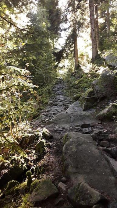 Chalet 3 Etoiles A Gerardmer. エクステリア 写真