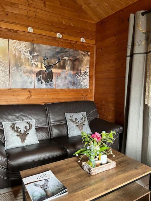 Chalet 3 Etoiles A Gerardmer. エクステリア 写真