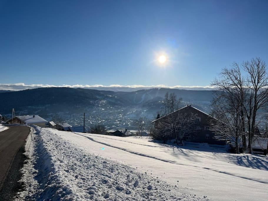 Chalet 3 Etoiles A Gerardmer. エクステリア 写真