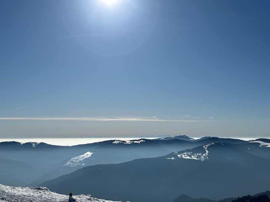 Chalet 3 Etoiles A Gerardmer. エクステリア 写真