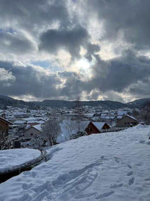Chalet 3 Etoiles A Gerardmer. エクステリア 写真