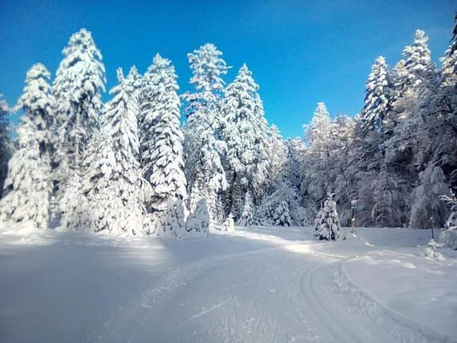 Chalet 3 Etoiles A Gerardmer. エクステリア 写真