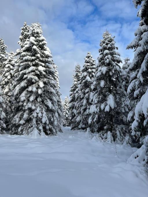 Chalet 3 Etoiles A Gerardmer. エクステリア 写真