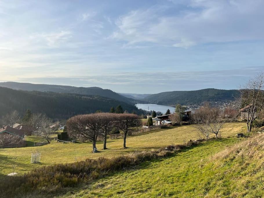 Chalet 3 Etoiles A Gerardmer. エクステリア 写真