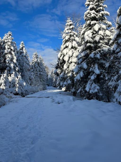 Chalet 3 Etoiles A Gerardmer. エクステリア 写真