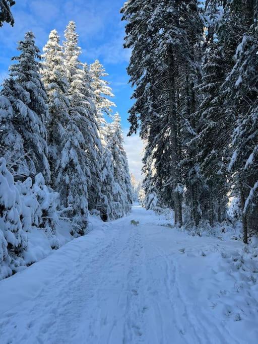 Chalet 3 Etoiles A Gerardmer. エクステリア 写真
