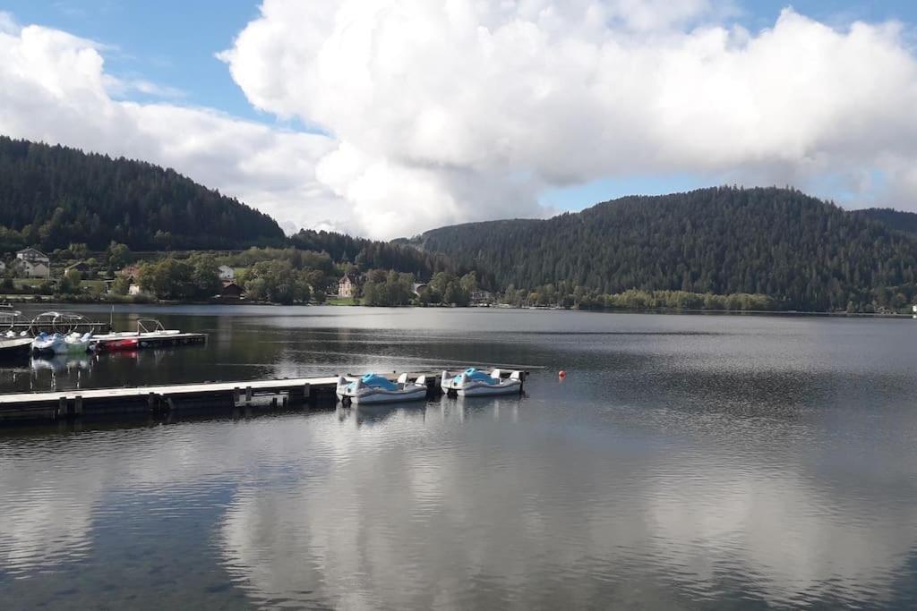 Chalet 3 Etoiles A Gerardmer. エクステリア 写真