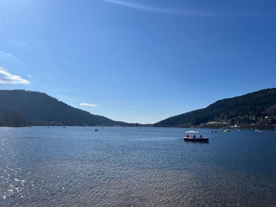 Chalet 3 Etoiles A Gerardmer. エクステリア 写真
